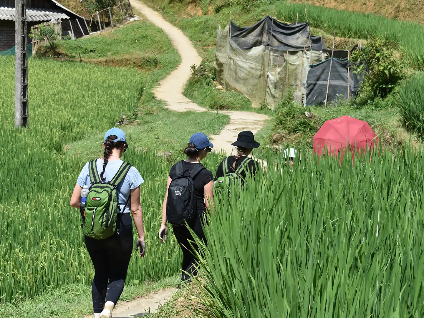 Lai Chau Trekking Tour 1 Day from Sapa